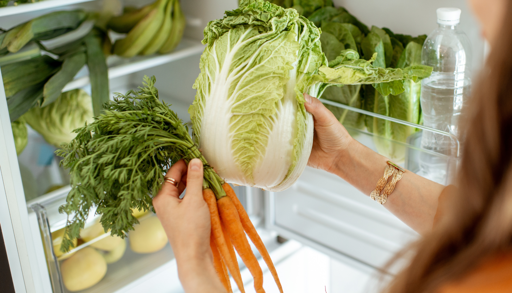 How to Prevent your Food from Spoiling